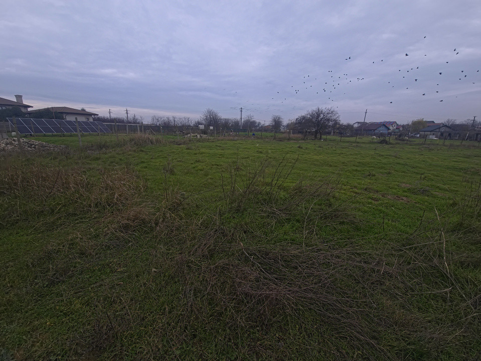 Teren intravilan 509 mp Techirghiol