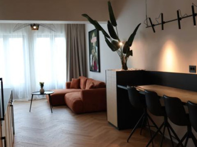 PIATA OVIDIU MUZEUL DE ARTA POPULARA-2 APARTAMENTE PREMIUM